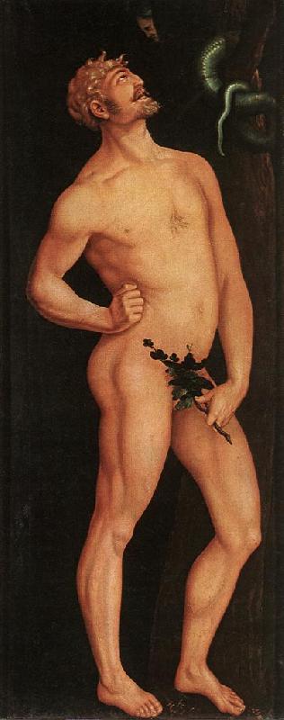 BALDUNG GRIEN, Hans Adam fjj oil painting image